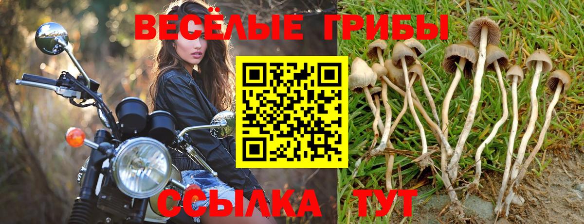 Жигулёвск  Галлюциногенные грибы Psilocybine cubensis  Галлюциногенные грибы GOLDEN TEACHER  Вход с VPN 