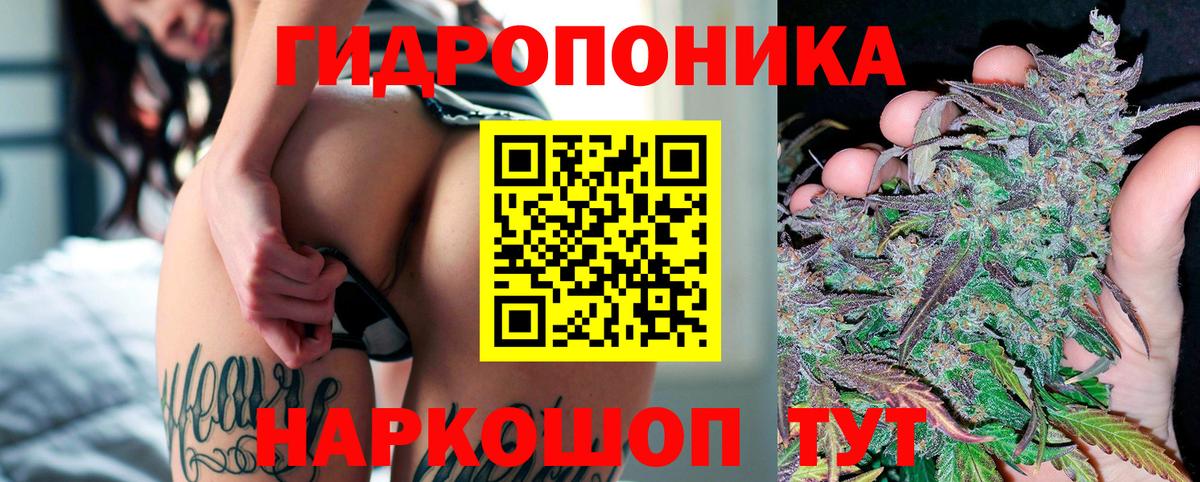 Каннабис конопля Жигулёвск